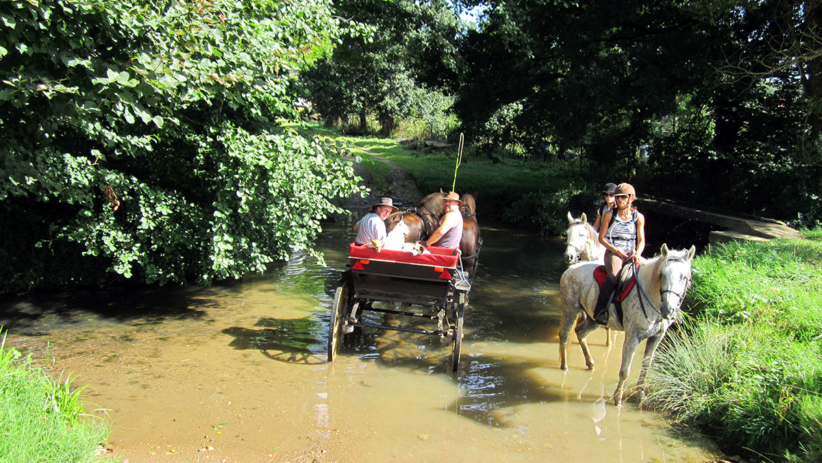 Traversée de la Sémois en calèche