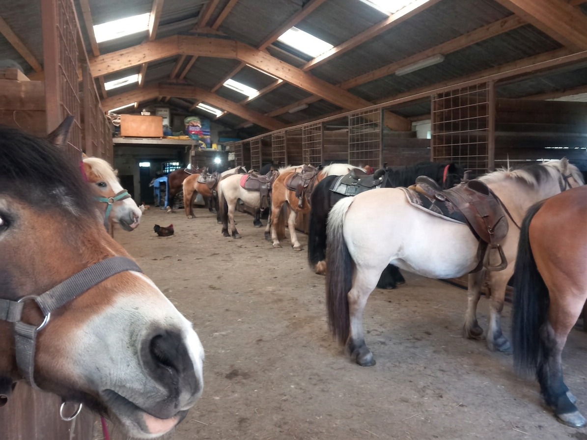 Le Centre Equestre de Martué